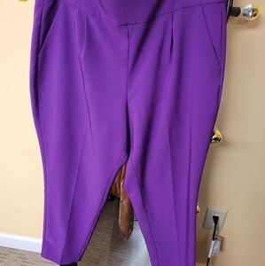 Torrid Purple High-Waisted Skinny Pants